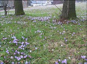 Bild14